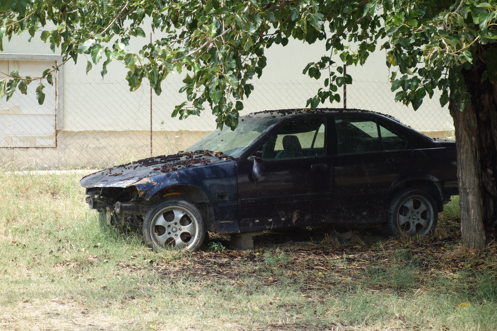 2019 07 14 14 31 07   DSC06961